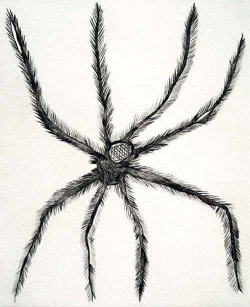 Hairy Spider by Louise Bourgeois, 2001
