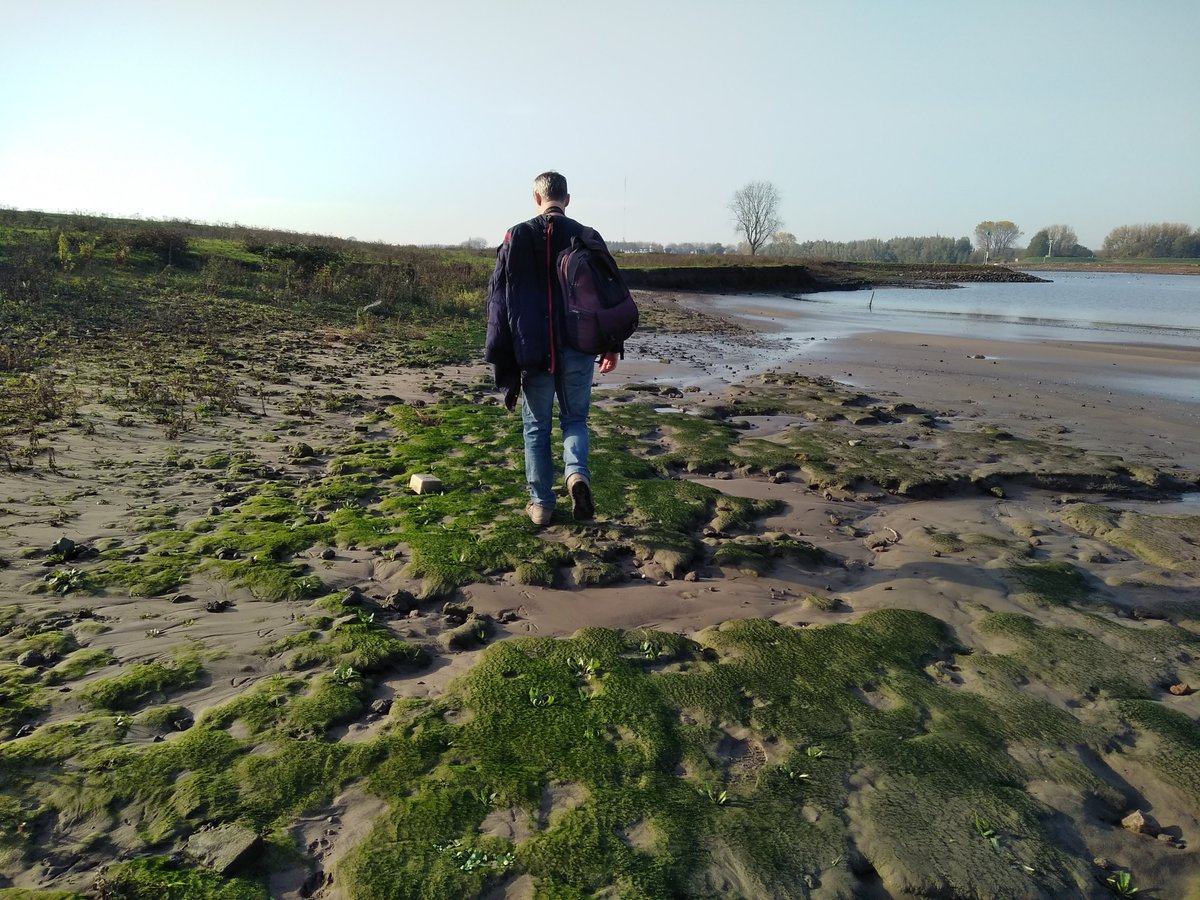 struingids's tweet photo. Vandaag verkenden we een stuk Lekoever tussen Vianen en Hagestein #lekstrand #tussenlekenlinge @5heerenlanden @CeesTaal @vrijstad_vianen @UtrechtRegion @UtrechtteVoet #strand #rivierenland #struinen #vistrap #stuwhagestein @lingestreek #vianen #riviernatuur @tevoet #struingids https://t.co/Bhp6z3l3ld