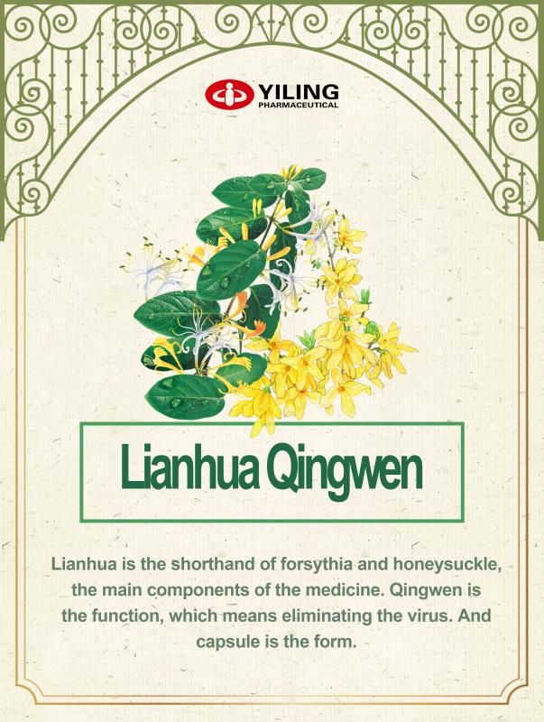 Yilinghealth's tweet photo. 👏👏Did you answer correctly yesterday? The name of Lianhua Qingwen capsule supposes Lianhua Qingwen. Lianhua is the shorthand of forsythia and honeysuckle, the main components of the #medicine . Qingwen is the function, which means eliminating the virus. And capsule is the form. https://t.co/2Bj9pStYjZ