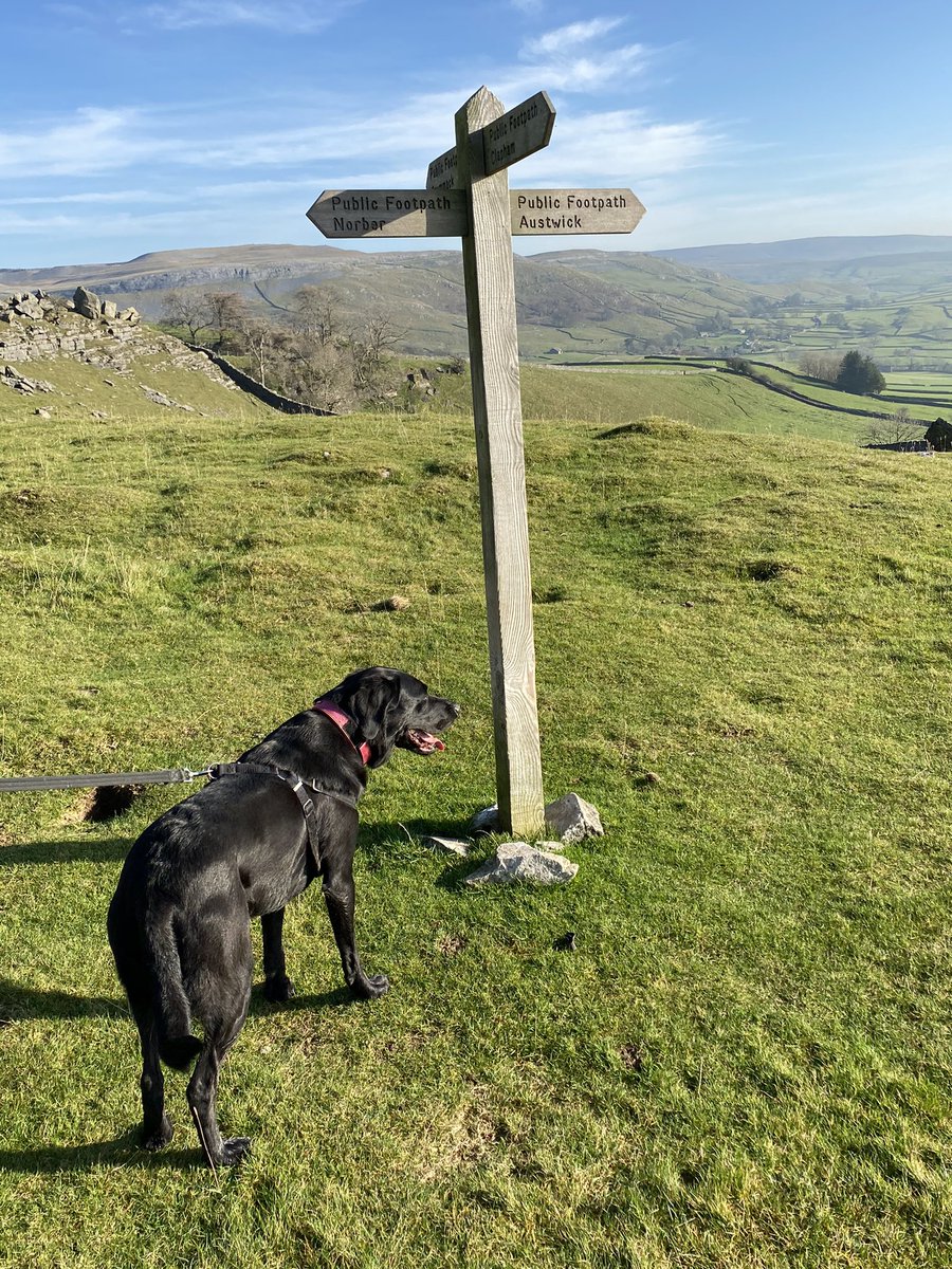 Manclee's tweet photo. Lovely #YorkshireDales #walk today through the #Norber #Erratics @yorkshire_dales @Yorkshire3Peaks great views to #Ingleborough and #PenyGhent #Yorkshire https://t.co/w5T70E8979