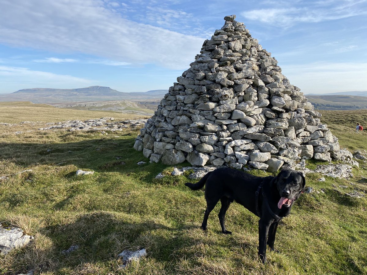 Manclee's tweet photo. Lovely #YorkshireDales #walk today through the #Norber #Erratics @yorkshire_dales @Yorkshire3Peaks great views to #Ingleborough and #PenyGhent #Yorkshire https://t.co/w5T70E8979