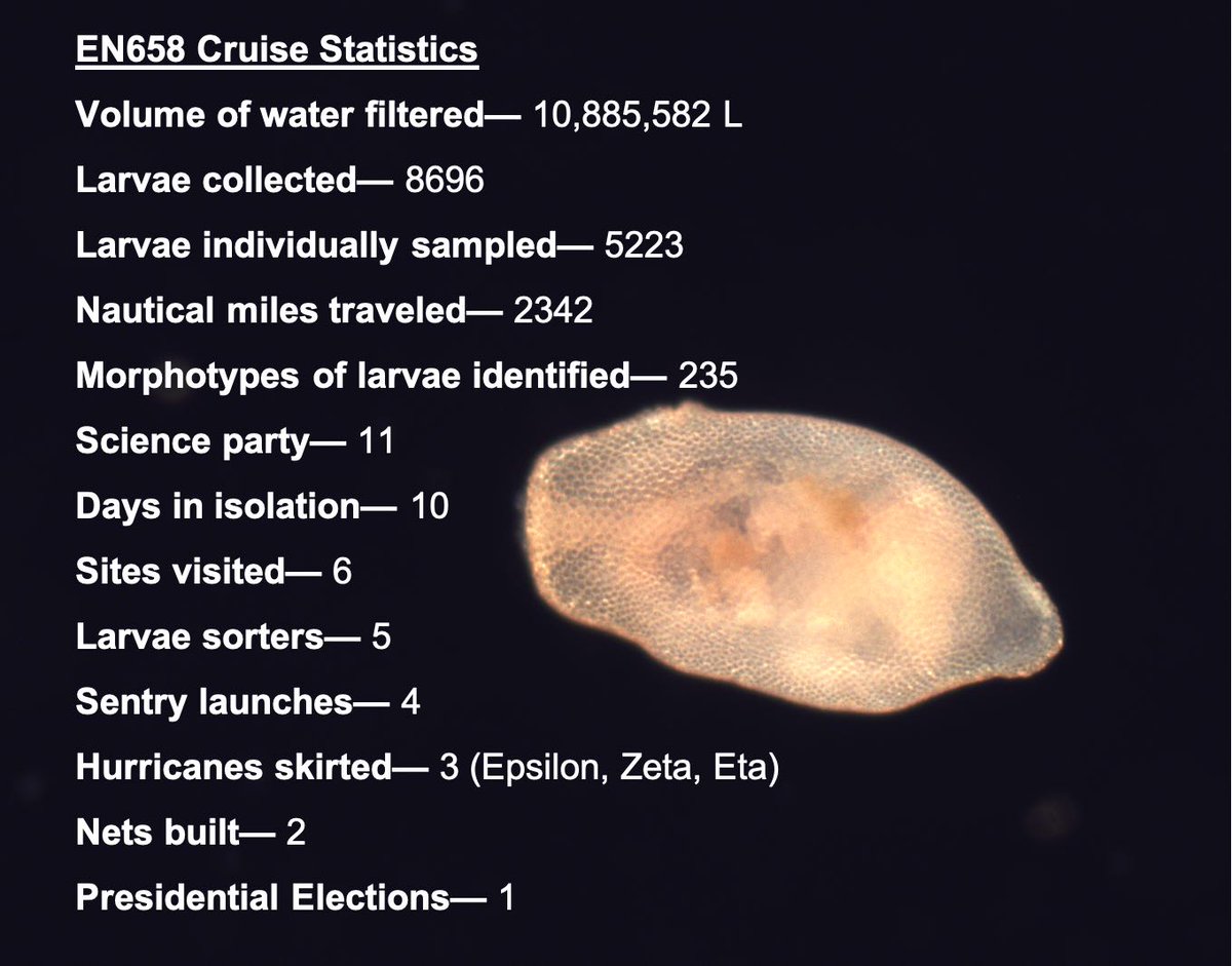 LarvalLab's tweet photo. How do you measure a research cruise? In hurricanes, in Sentry dives, in scientists, in larvae sorted...
@UO_OIMB @URIGSO @WHOI @CindyVandor #SALTlarvae #NSFfunded https://t.co/kMNrS4VgRV