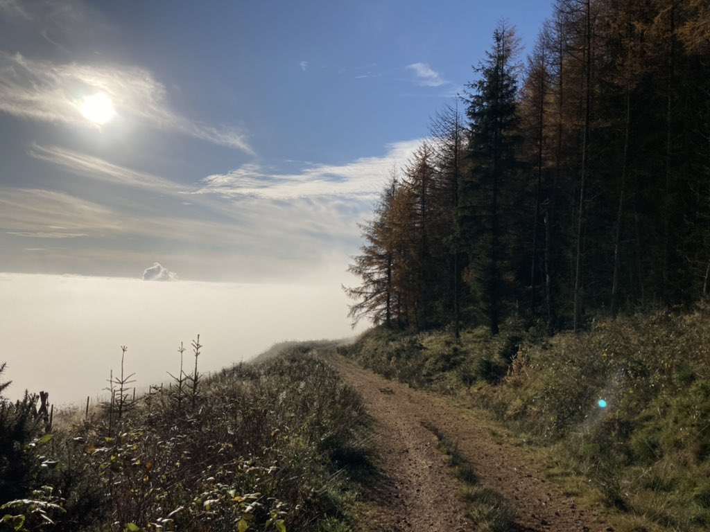 Derek Jolly tweet media