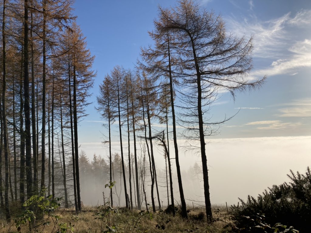 Derek Jolly tweet media