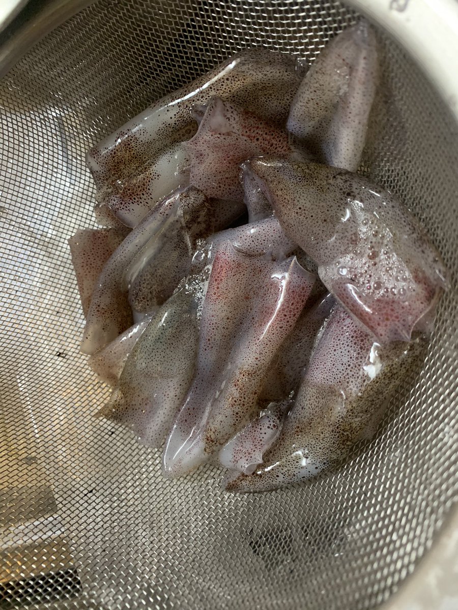 Okikat 小樽でマメイカ杯でした 夕方からでピンクと赤エギ についてきてました 隣の方がとても上手だったので参考にさせて頂きました 上手い人は音が違う キャスティングの時ズバシュッー しゃくり もビュン ビュン いうし 自分は音も鳴らず