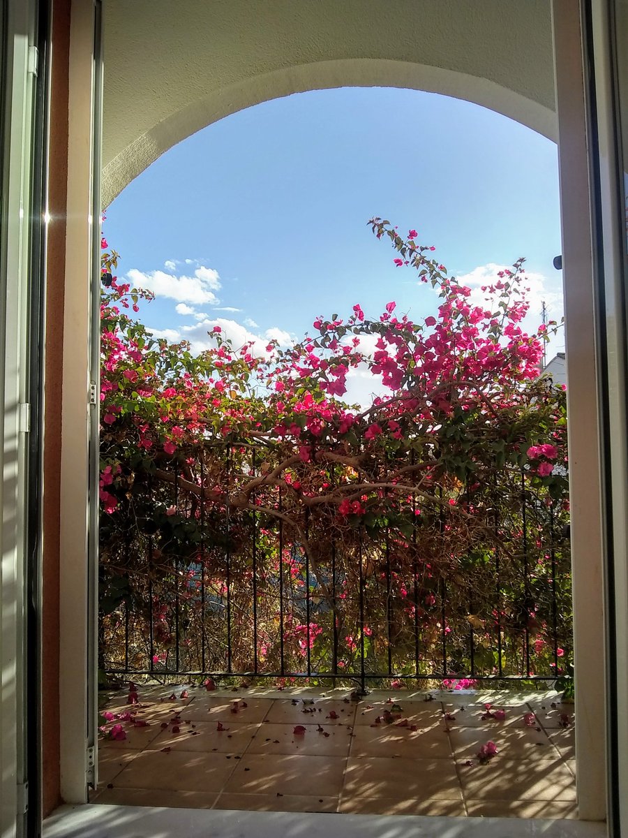 nunubelle76's tweet photo. Empty spaces... #outofseason #emptyhotels #silence #lamalvarrosa https://t.co/dViT21wpRy