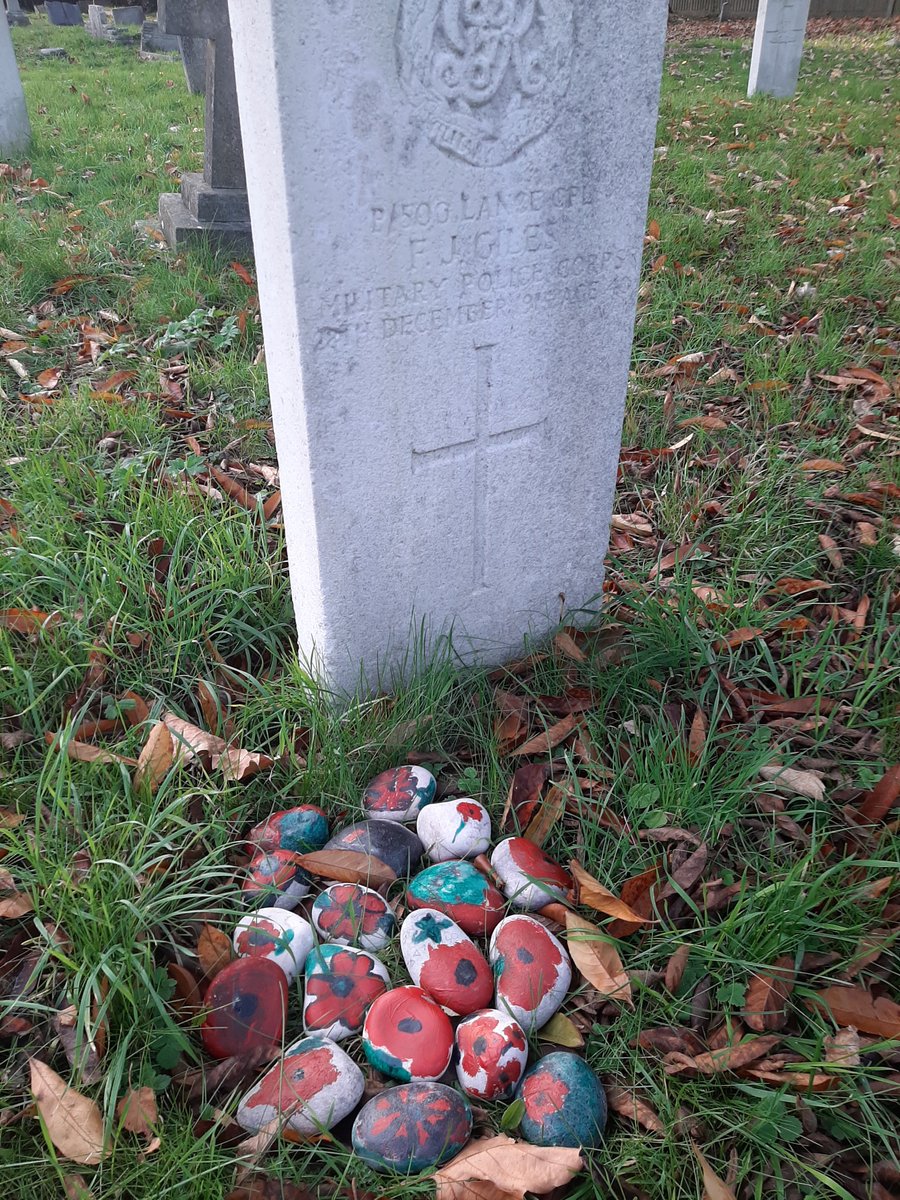 3rdBanstead's tweet photo. Our Beavers, Cubs and Scouts have decorated stones for Remembrance Day.  We will remember them.  #remembranceday https://t.co/DKN3SPMQrS