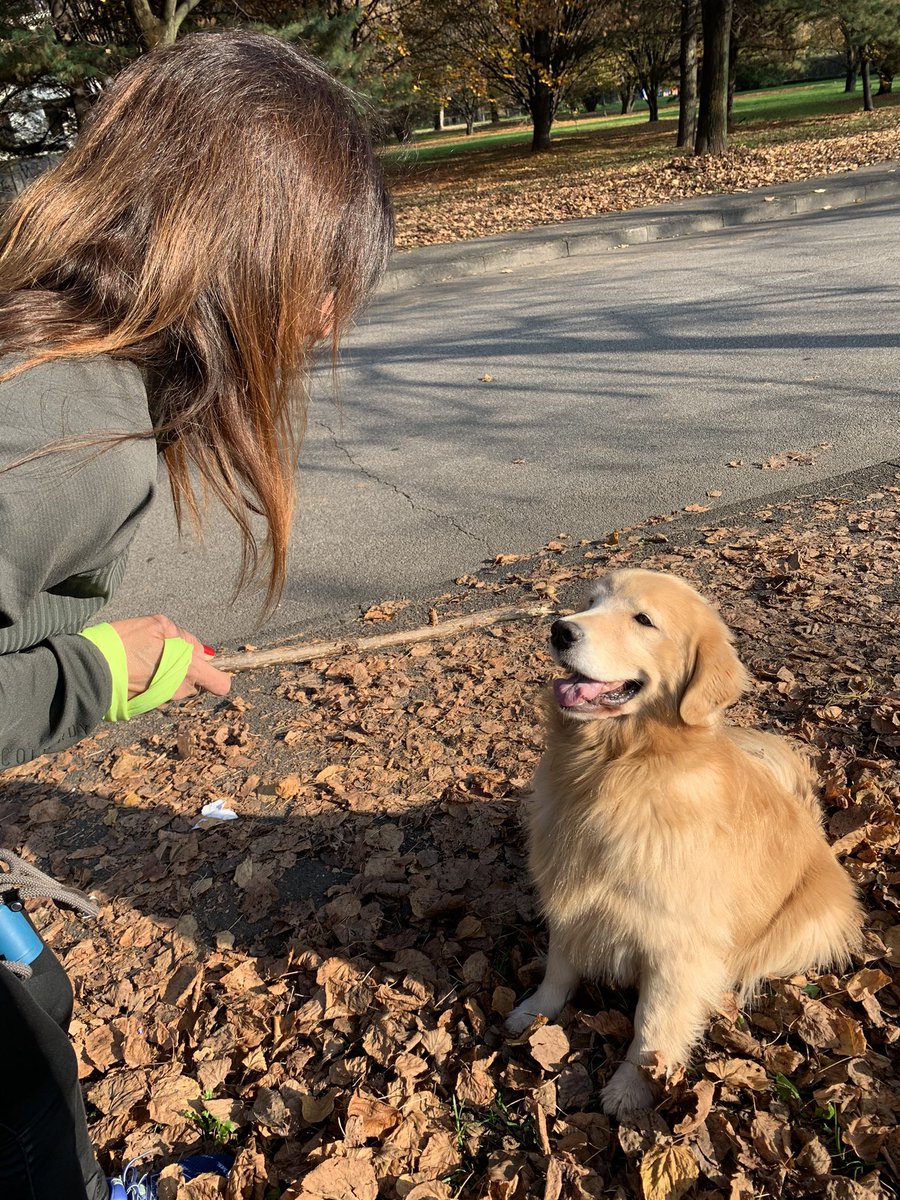 stefaniacav's tweet photo. E lei che mentre l’umanità si aggrappa al nulla, t segue fiduciosa e sorride solo per un bastoncino. Questo è il suo #lockdog o #dogdown se vi piace di più https://t.co/xnbUbQRB6F