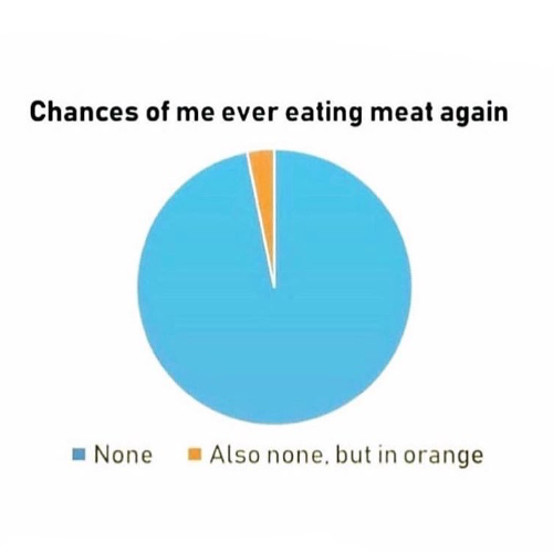 ICallTheTruth's tweet photo. 7 years without meat and feeling amazing! https://t.co/Mxm0G5UXAt