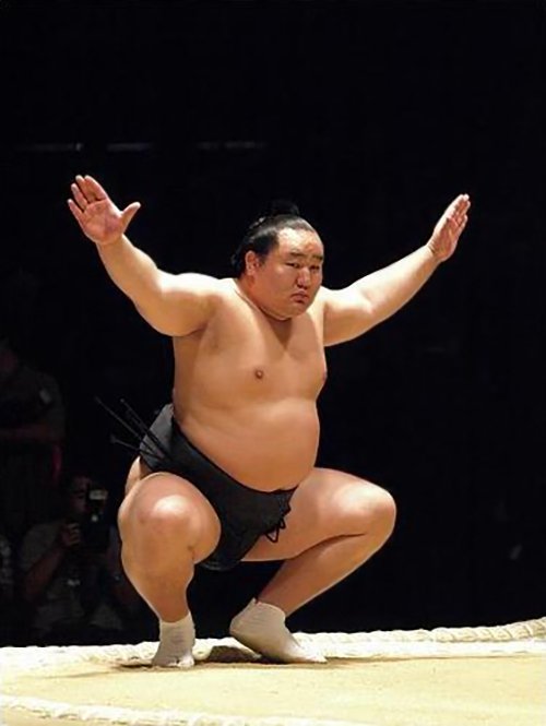 rodyaz2001's tweet photo. Lui, c'est @Asashoryu, celui qui m'a fait aimer le sumo. Un très grand Yokozuna, le grade suprême dans la discipline, considéré comme l'égal de Dieu. Le Hon Basho, tournoi de novembre commence demain. On suivra 😊😊😊#sumo #Japan #honbasho https://t.co/Xjpa1Y7hsH