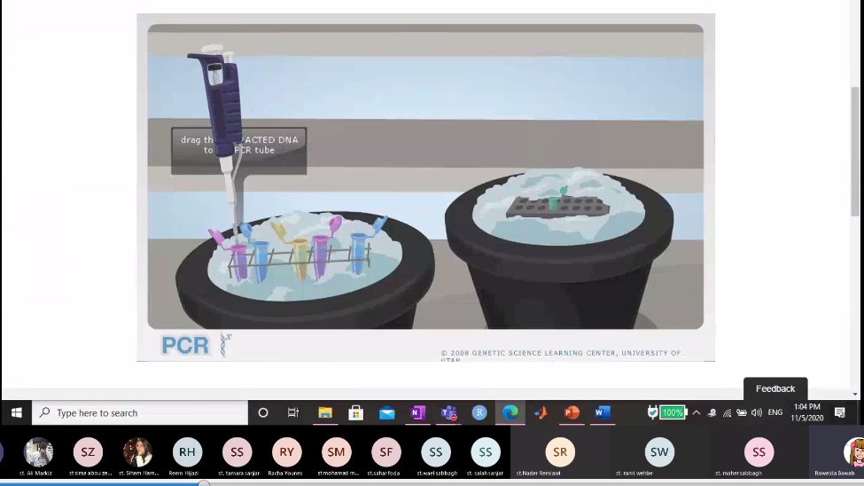 RoweidaB's tweet photo. Another great advantage of #remotelearning: IB1 students looked at how PCR is done using http://learn.genetics.utah virtual PCR lab and then investigated its applications in detecting the presence of pathogens in general and coronavirus in particular #ibbiology #topic3 @Hhhsinfo https://t.co/QeLNBfBTMJ