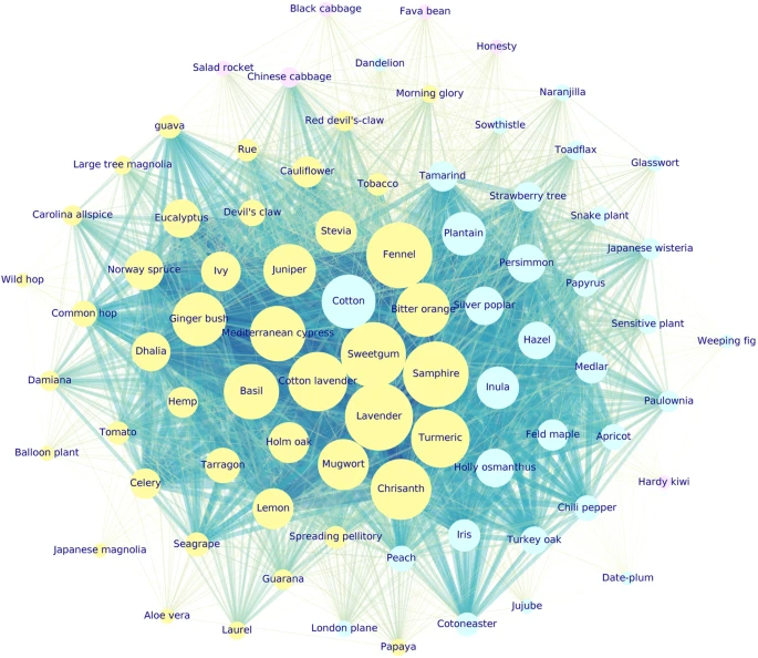 chem_110b's tweet photo. Volatile Organic Compounds (VOCs) have low IMFs and low solubility in water, allowing them to escape to the atmosphere. Plants use VOCs to "talk" to one another.  Image: VOC-network of interactions between species.  Yellow is the most active VOC network.
https://t.co/z1MKhzWuKr https://t.co/tmvyqNcQwk
