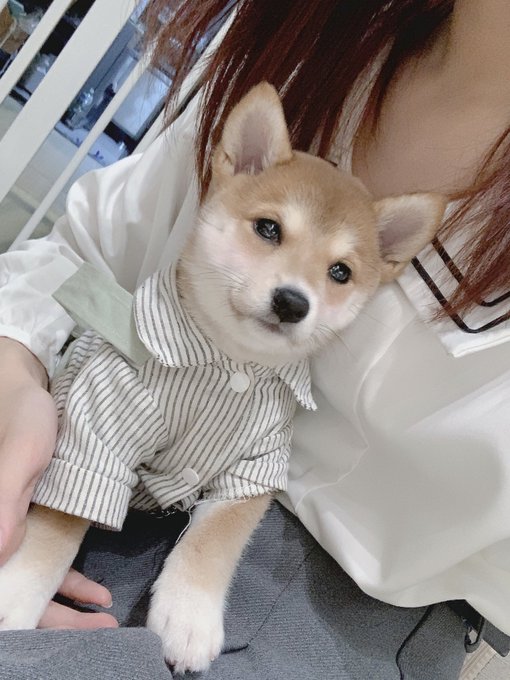 Twitterのコスプレ画像32
