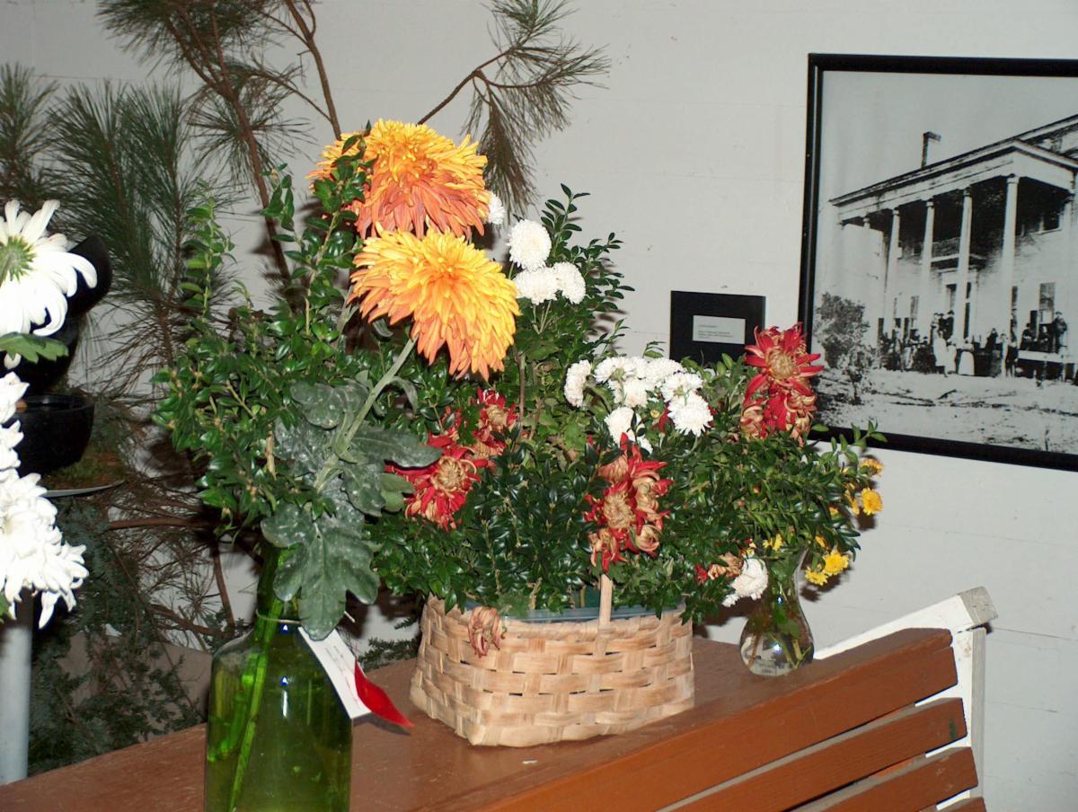 VisitCartersvil's tweet photo. TODAY: Take a drive to Cartersville to celebrate the century-old tradition of the Stilesboro Chrysanthemum Show &amp; Tea Room in Cartersville. Details... https://t.co/NJx06ZNdR8 https://t.co/P0E5qdMjQV