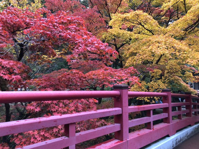 斉藤瞳さん がハッシュタグ 斉藤瞳 をつけたツイート一覧 1 Whotwi グラフィカルtwitter分析