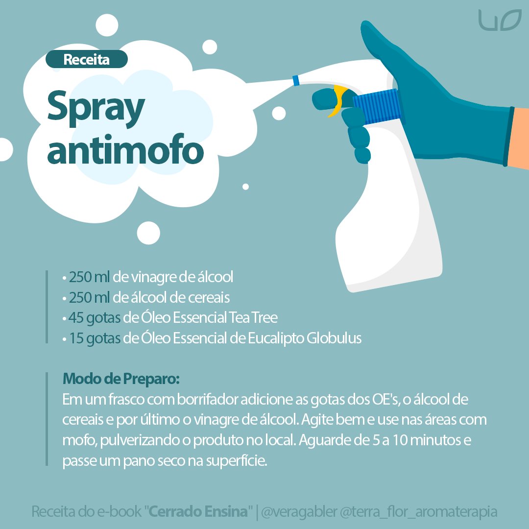 useorganico's tweet photo. Preparando a faxina desse sábado? ✨
Dá só uma olhada nessa receitinha de Spray Antimofo que separamos pra você. 💚 https://t.co/BTw6rjtnju