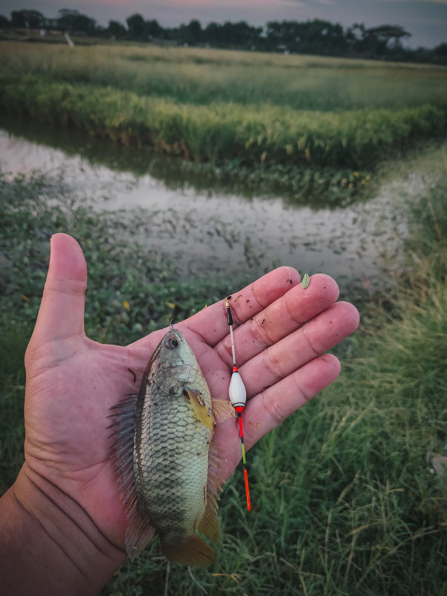 Covid-19 babik. Job Moto ama Job EO taon 2020 nihil. Biar gak Gila, mancing aja