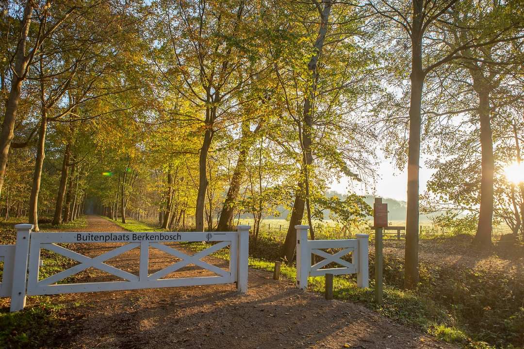 Mooie ochtend in de Manteling in Zeeland