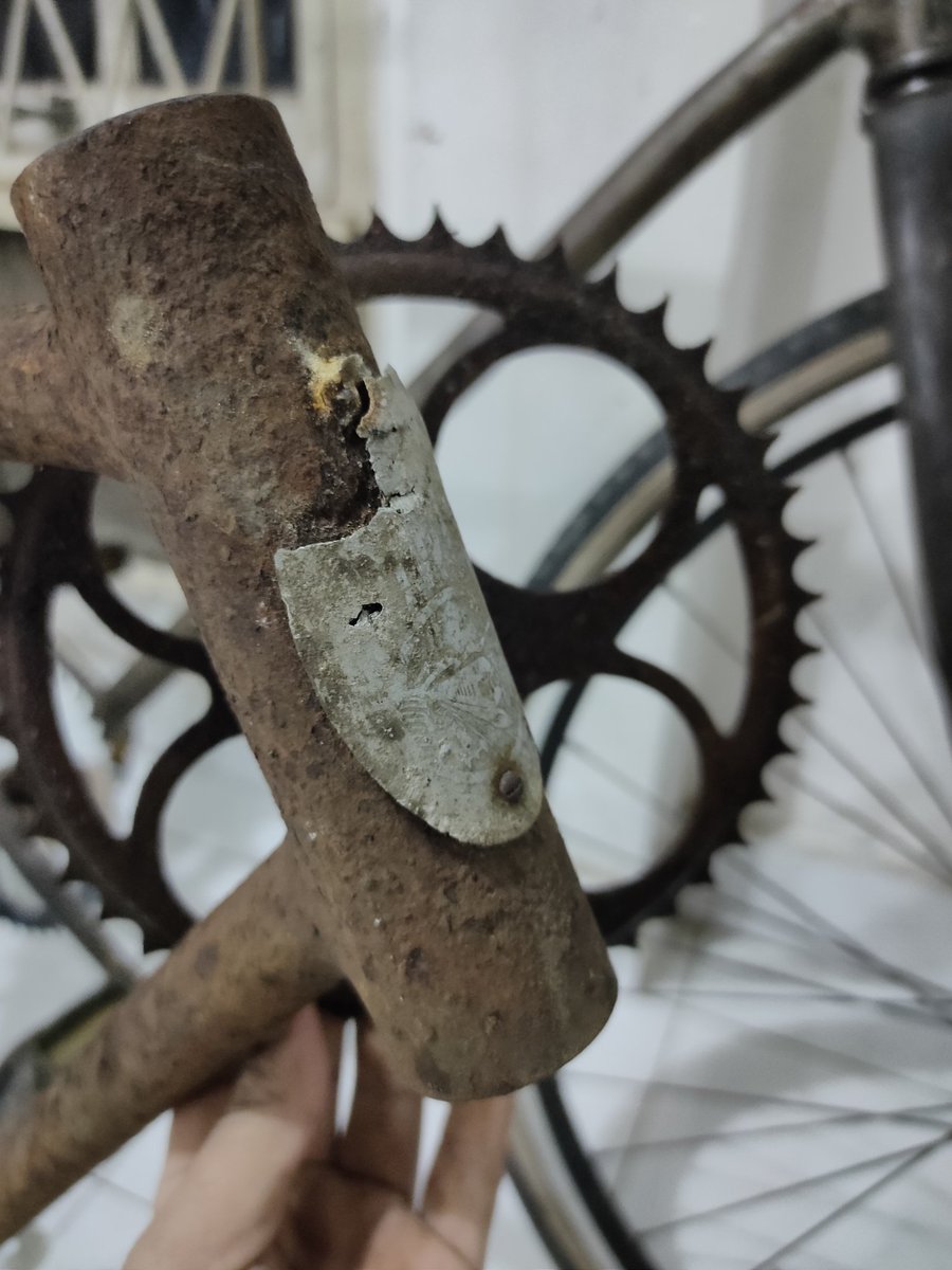 Argaxbrand's tweet photo. Suwin
Is ti mi wir wong
#schwinn https://t.co/1H3HXayfdl