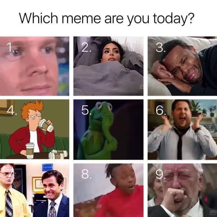 Day 5!