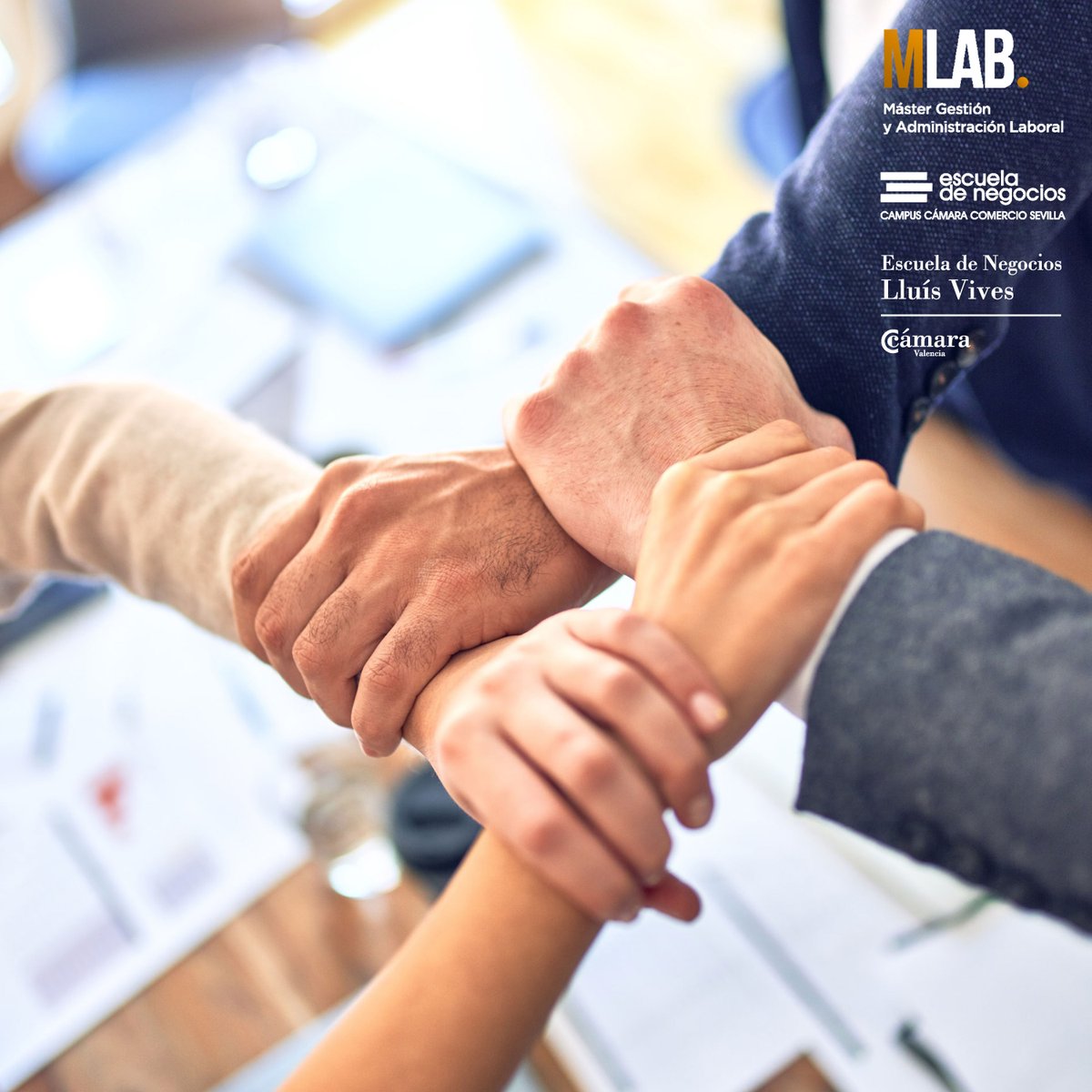 Master_Laboral's tweet photo. El aumento del rendimiento laboral de una empresa debe ser un pilar fundamental en la estrategia de negocio.

Todos aquellas empresas que lo tengan en cuenta, tendrán más probabilidad de maximizar su productividad y por tanto, poder lograr sus objetivos en el tiempo establecido. https://t.co/AsosVSLbZY