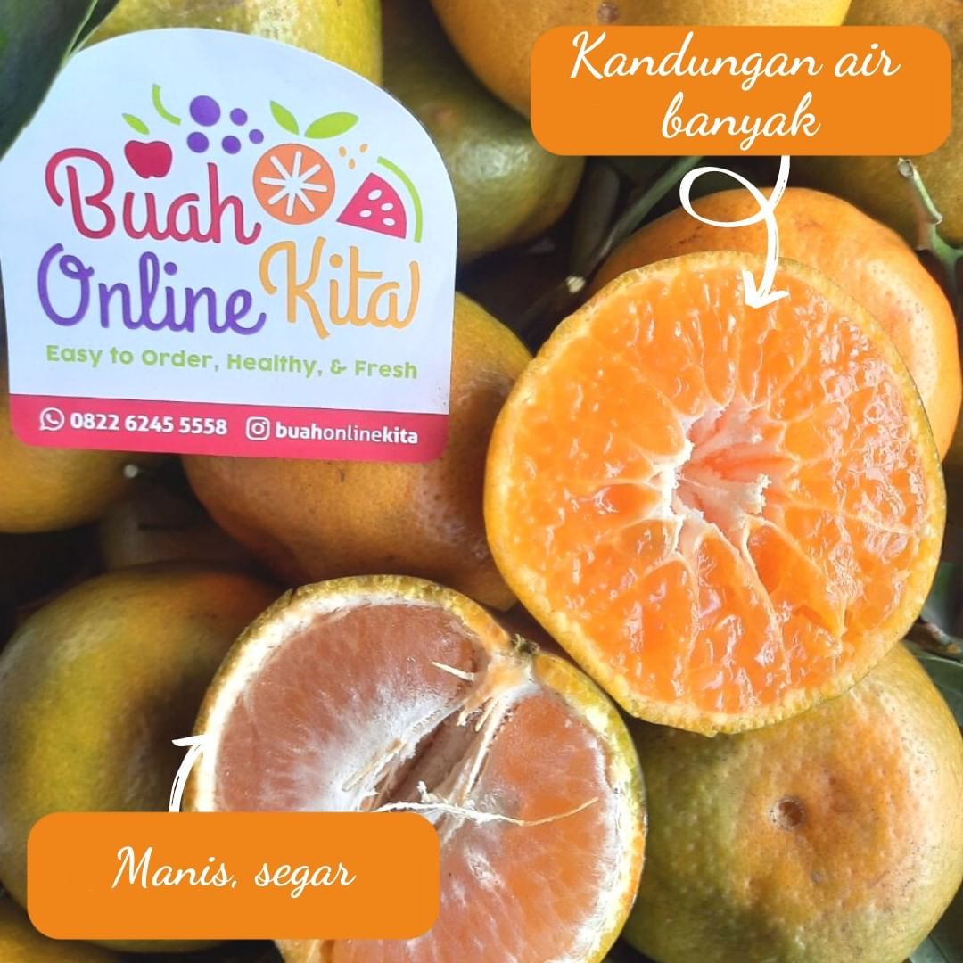 Jeruk Madu Malang, Buah Online Kita, 0822-6245-5558 (TSEL)

#Buahbuahan #Buahklimaterikadalah #Buahuntukdiet #Jenisjenisbuah #Buahtunggal #Manfaatbuah #Fungsibuah #Buahmajemukadalah #jeruksiammadumalang #jeruksantangmadumalang #bibitjerukmadumalang #hargajeruksiammadumalang