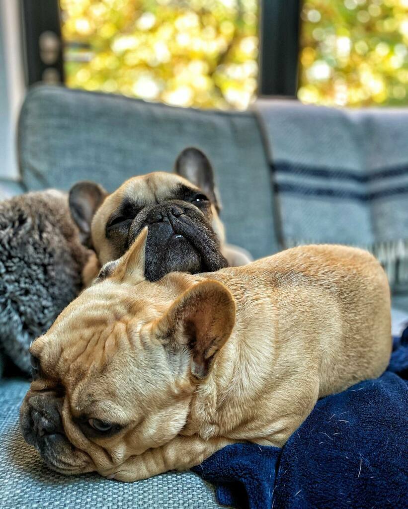 Stephen Rush tweet media