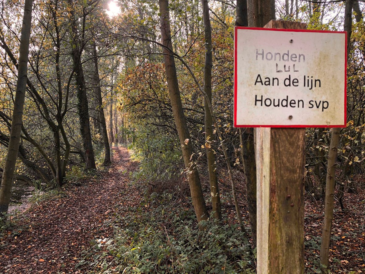 Marc2B's tweet photo. Wandelend langs de Geleenbeek #thull #schinnen #geleenbeek https://t.co/TSeRUYYdqg