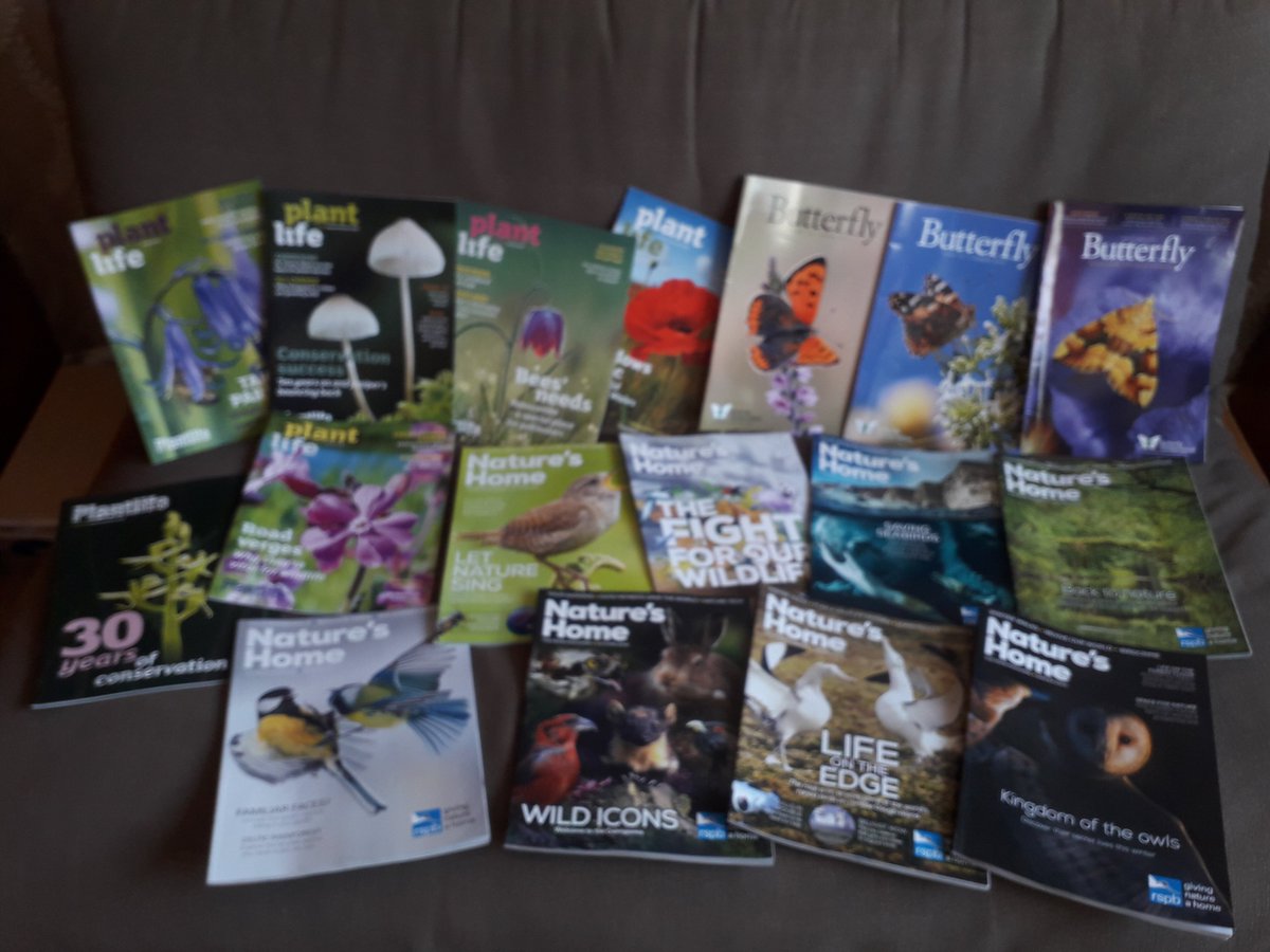 JenniferFew2's tweet photo. Eventually, I will catch up on all the lovely articles but even the front covers are inspiring. Nature is amazing.

Cuppa tea + mags and I'm entertained for the next month at least! @Natures_Voice @Love_plants @savebutterflies https://t.co/LSVdauVWkH
