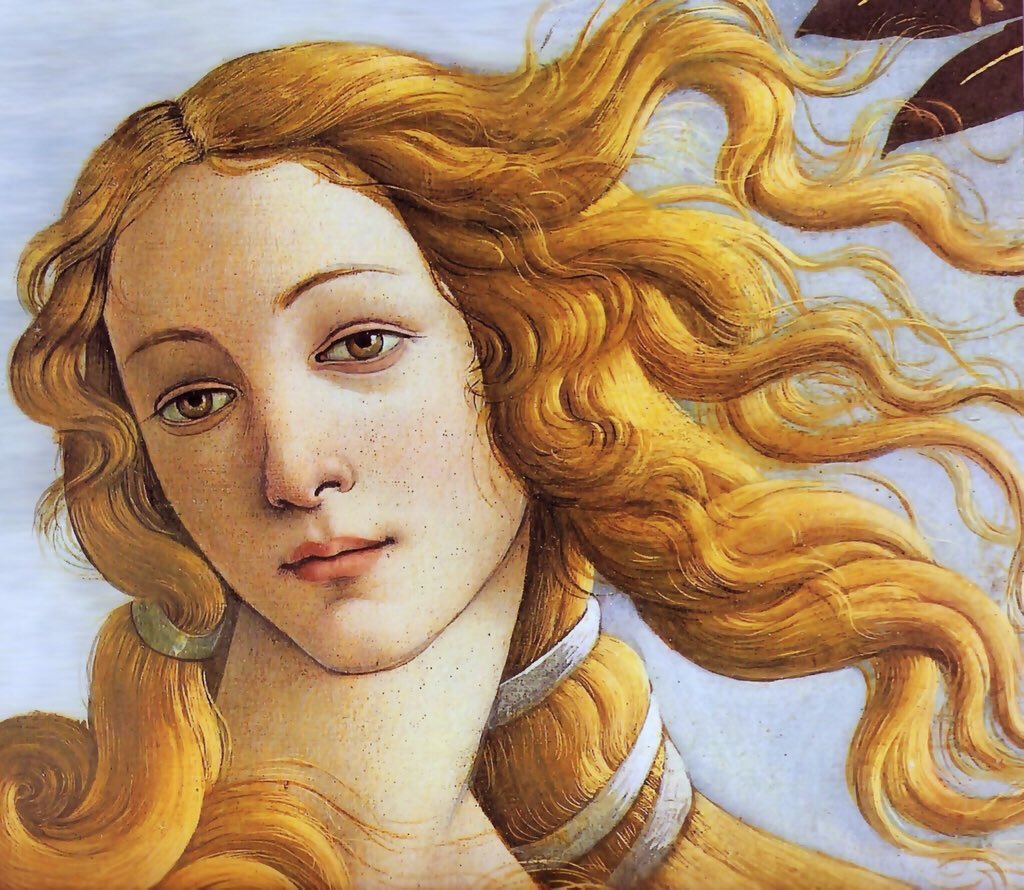 Birth of Venus (1485) is an aerial delight. Perhaps most unusual is that it is the ultimate ideal of the female form & yet is depicted by a gay man. It is the beauty of a Goddess & not of a woman of flesh & blood.