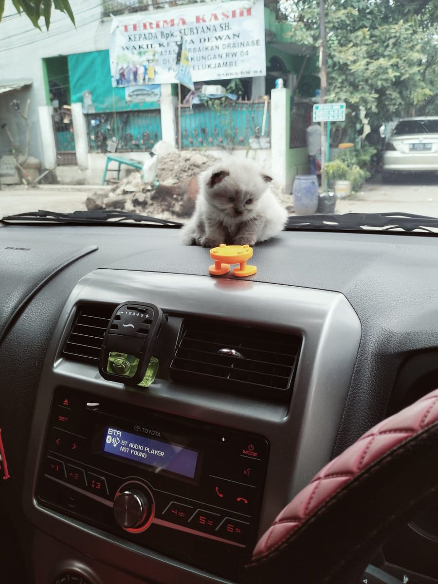 Mamel Evalinda Rahma tweet media