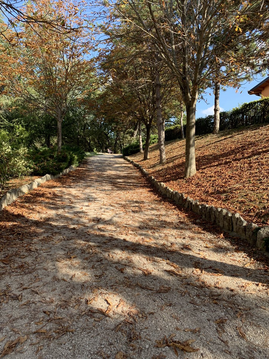 blablavirg's tweet photo. Colori d’autunno 🍁🍂 presso Percorso Vitae @univUda https://t.co/fIsbJBM6Fh
