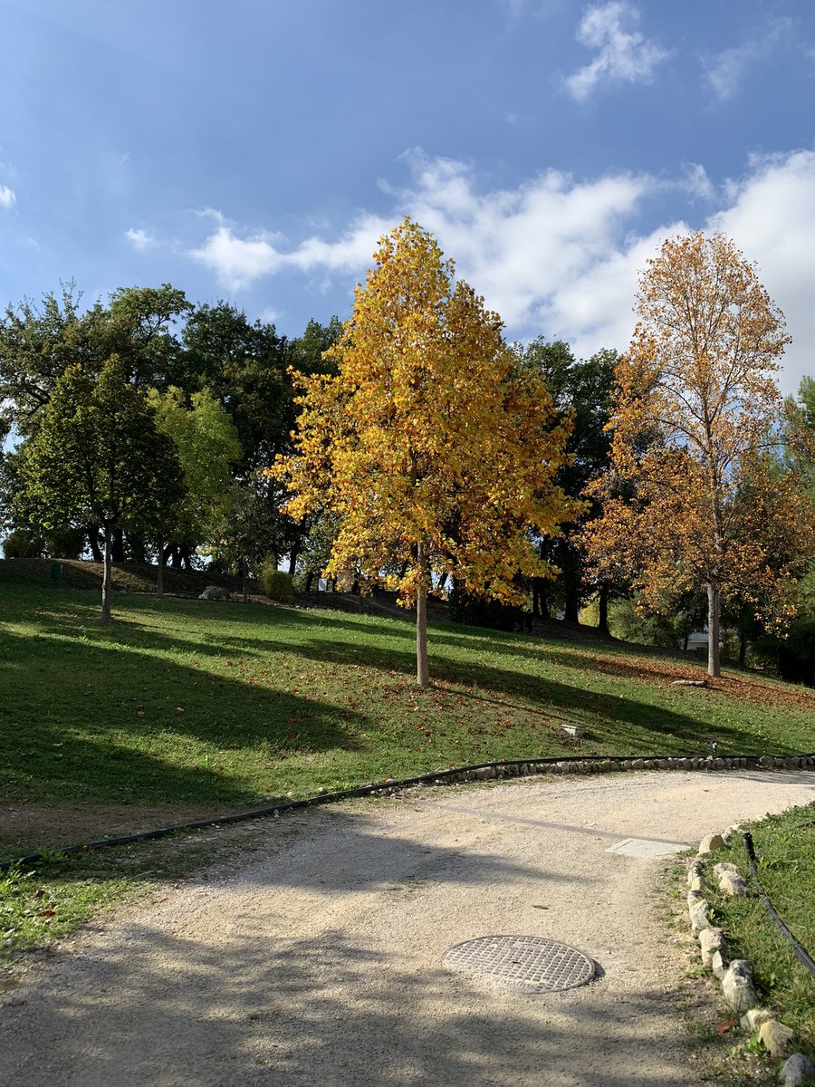 blablavirg's tweet photo. Colori d’autunno 🍁🍂 presso Percorso Vitae @univUda https://t.co/fIsbJBM6Fh