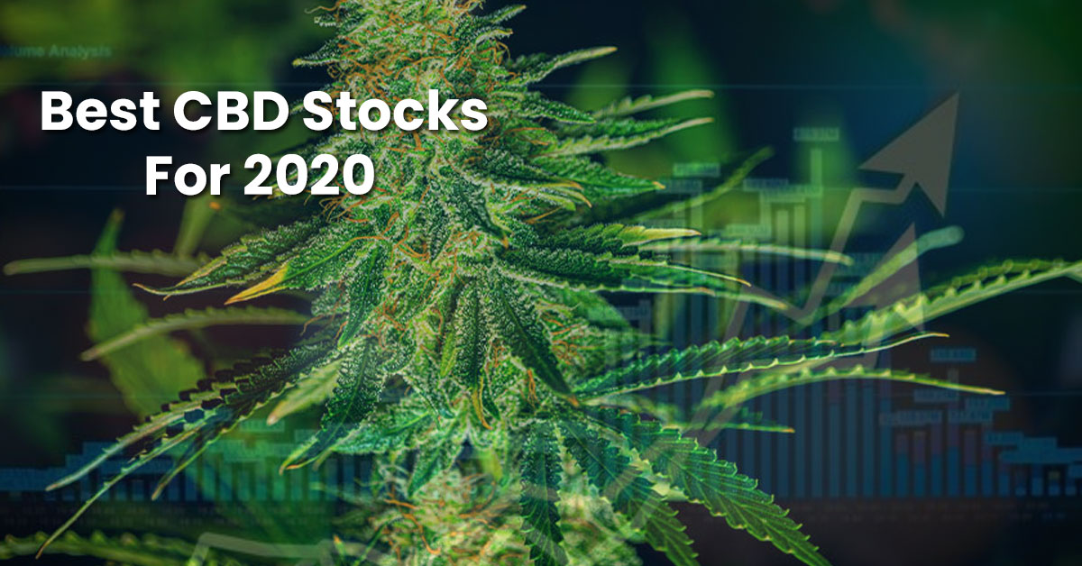 CBDOilsGuide2's tweet photo. Best CBD Stocks For 2020
#cbdstocks #hempstocks #cbd #hemp #stockscbd
Click on the link to avail the offer: https://t.co/QTU7CS9pdA https://t.co/OvYDqaUh20
