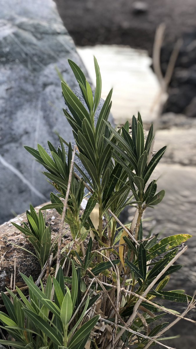 You don't need someone to complete you .