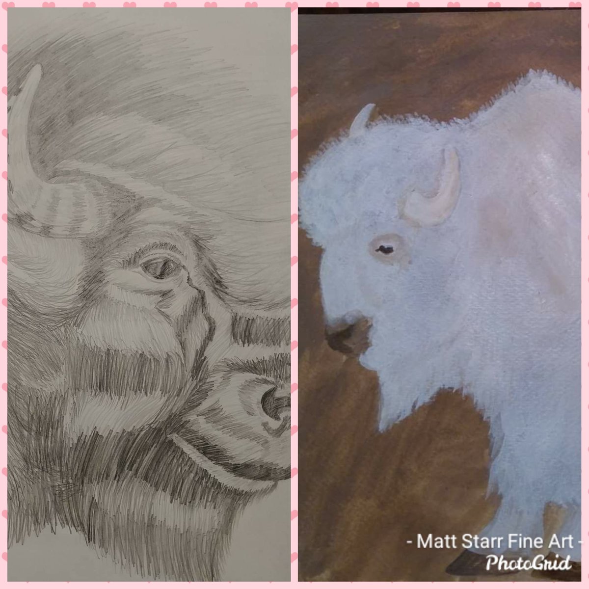 MattStarrFineA1's tweet photo. November 7th is National Bison Day.
#mattstarrfineart #nationalbisonday #bison #bisons #buffalo #buffaloes #bisonjerky #bisonsafari #bisonroaming #bisonsadventure #bisonherd #bisonskull #bisoncalf #bisonpainting #wildlife #yellowstonenationalpark #yellowstone #wyomng #animal https://t.co/raqasSYGKz