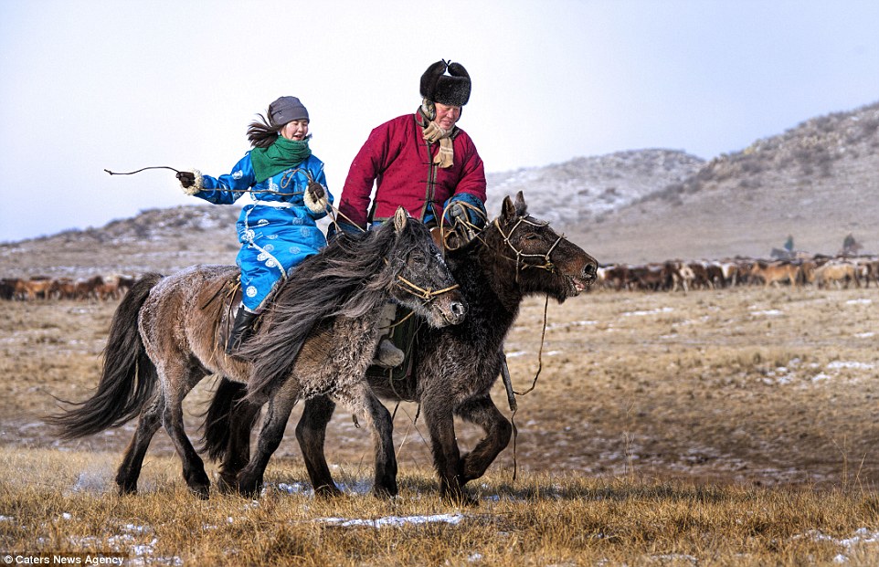 …nuevos trabajos sugieren que la domesticación del caballo y la equitación dieron lugar a grandes movimientos de poblaciones humanas en Asia que explican su composición genética.