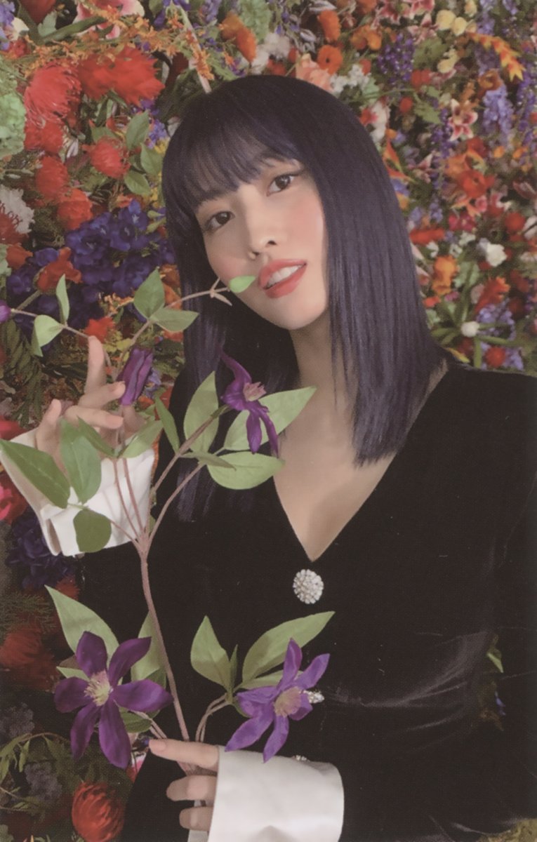 SCAN] TWICE 2nd full album Eyes wide open Photocard - Momo (2/2