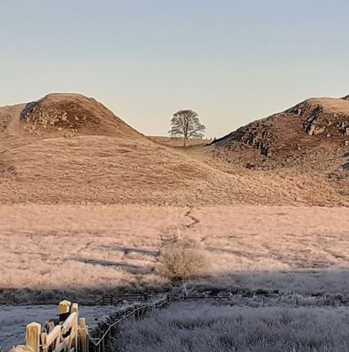 twicebrewedinn's tweet photo. Our @TwiceBrewHouse Tap Room shop will remain open along with the online store, so you can still call in for your beer fix after a day of exploration on #HadriansWall! You can click and collect or pop in, there'll normally be someone in 9am-5pm https://t.co/DgMgNgNKPD