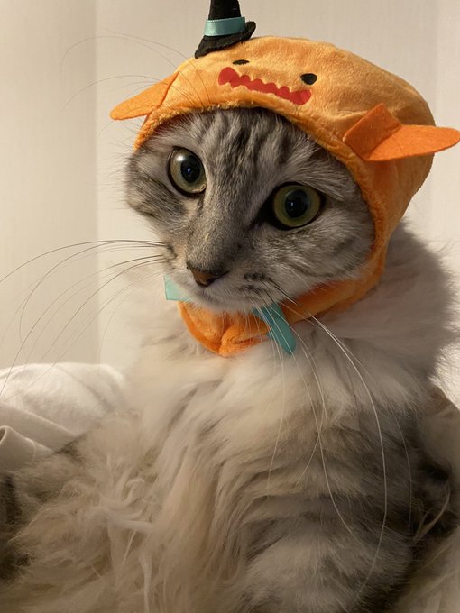 @Calcio666 やったぜ‼️‼️ありがとうございます😊 