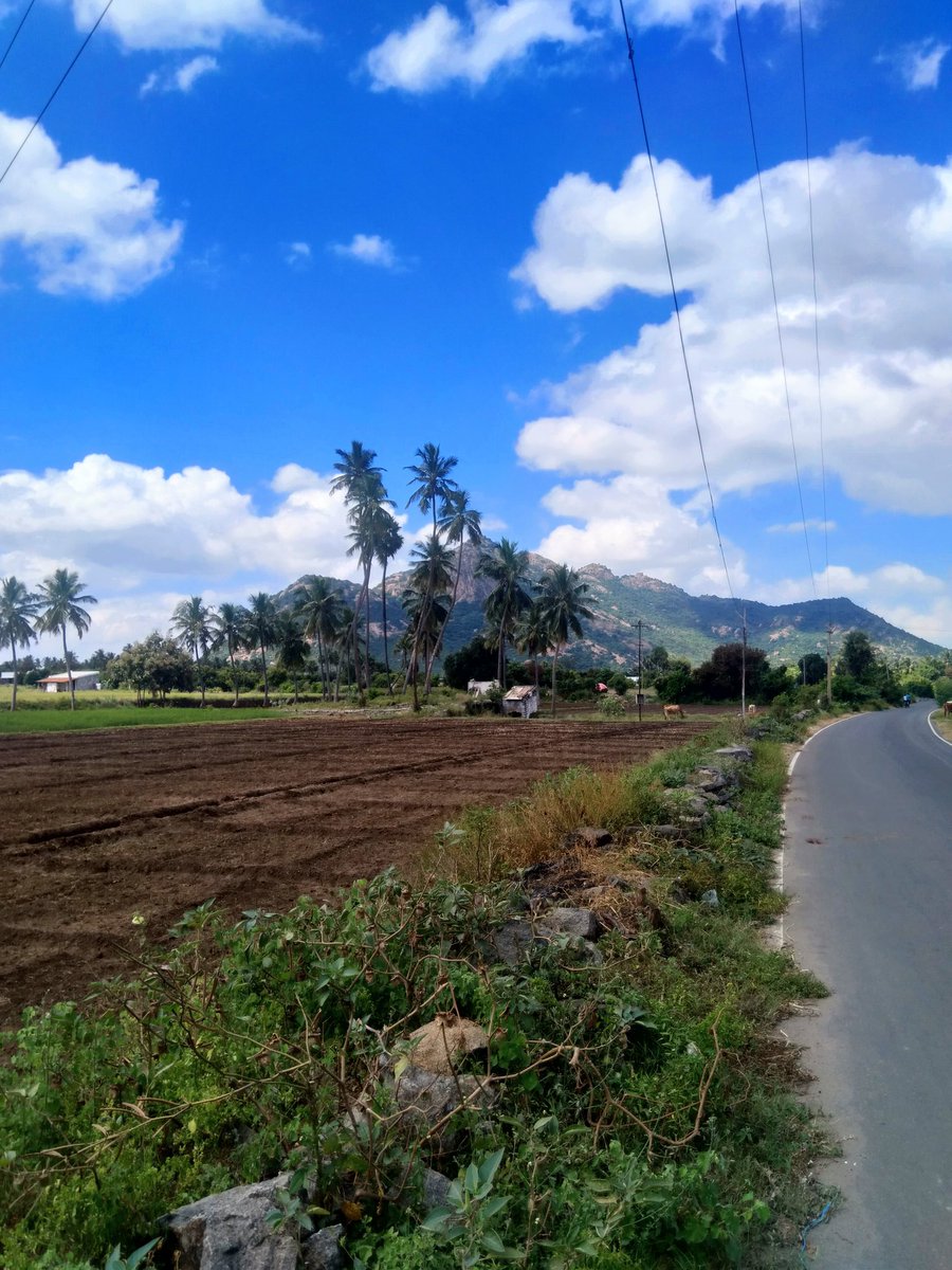 Here comes the beautiful pictures from the ride & the destination - Ponchori Malai  all wallpaper material Vividly lit Ponchori Malai & the road connecting to Veerapandi.வயல்களெல்லாம் உழுது பண்படுத்தப்பட்டு மழையால் நனையக் காத்திருக்கின்றன. #cycling  #countryroads /2