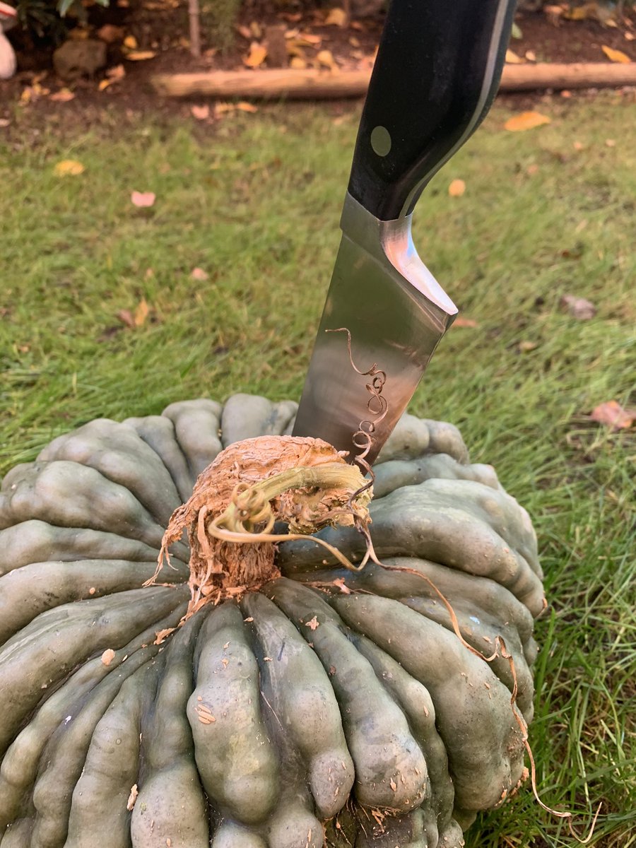 #Buongiorno il dopo #Halloween tinto di #verde 🩸🩸🩸🩸🩸🩸🩸🩸🩸🩸🩸