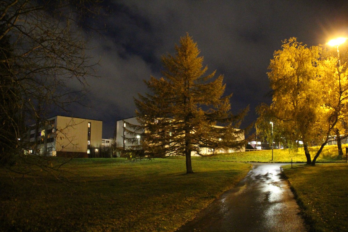 Bjsjer's tweet image. November kveld i Saupstadringen. Mandag den 2 / 11. 2020.