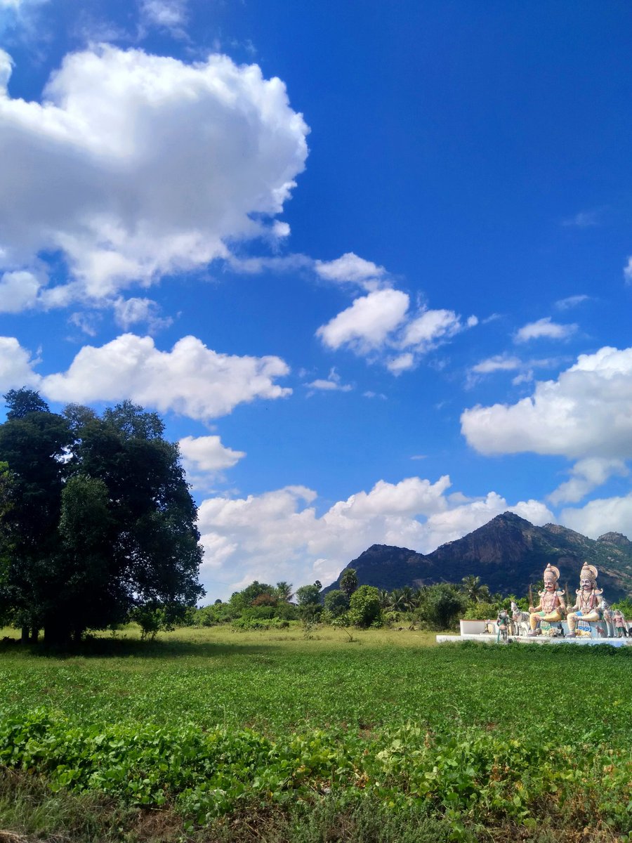 The route was so beautiful, I couldn't stop taking pictures literally every 10 minutes.The guardian idols, Munis, in the middle of the field A selfie with the Munis & a beautiful portrait of my cycle against the lit sky  #countryroads  #cycling  #cyclinglife  #Mallur/3