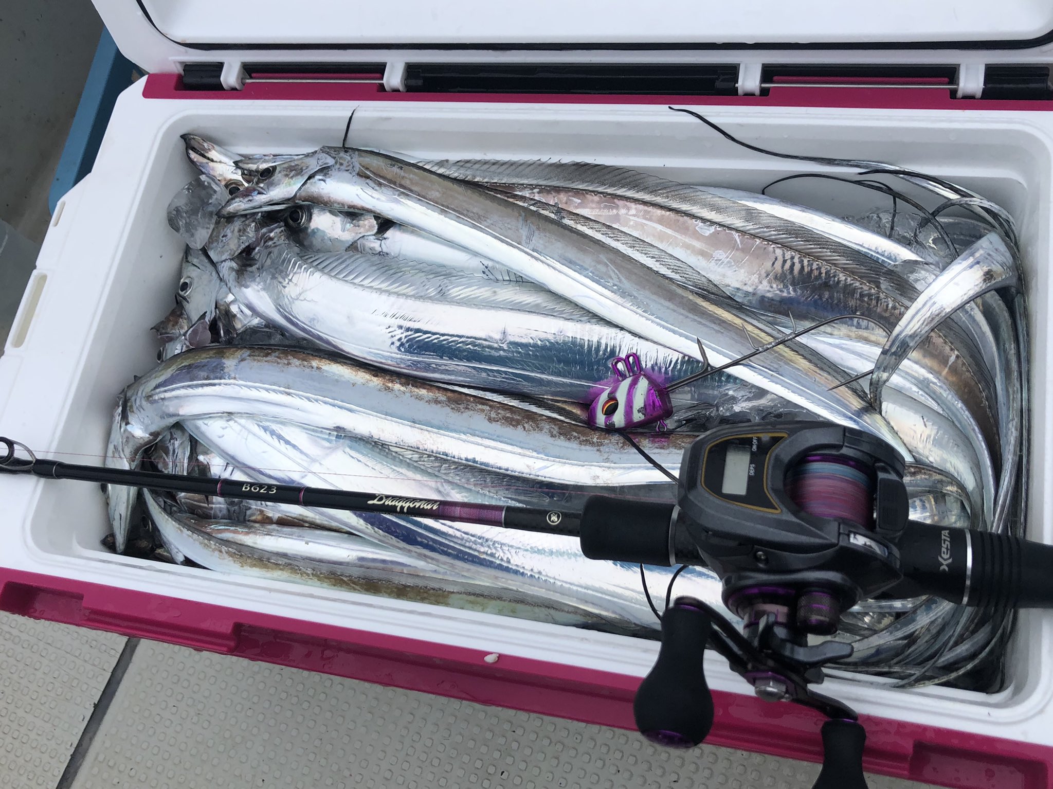 ぴの ライトゲーマー 太刀魚船楽しかったー ロッド Xesta ドラグナーb623 リール Daiwa Light Sw X Icl ライン Duel X Four 1 0号 リーダー Duel Powerleader カーボナイロン lb Duel Powerleader カーボナイロン 50lb テンヤ Daiwa 快適 船 ぴの ライトゲーマー 太刀魚船楽しかったー ロッド Xesta ドラグナーb623 リール Daiwa Light Sw X Icl ライン Duel X Four 1 0号 リーダー Duel Powerleader カーボナイロン lb Duel Powerleader カーボナイロン 50lb テンヤ Daiwa 快適 船