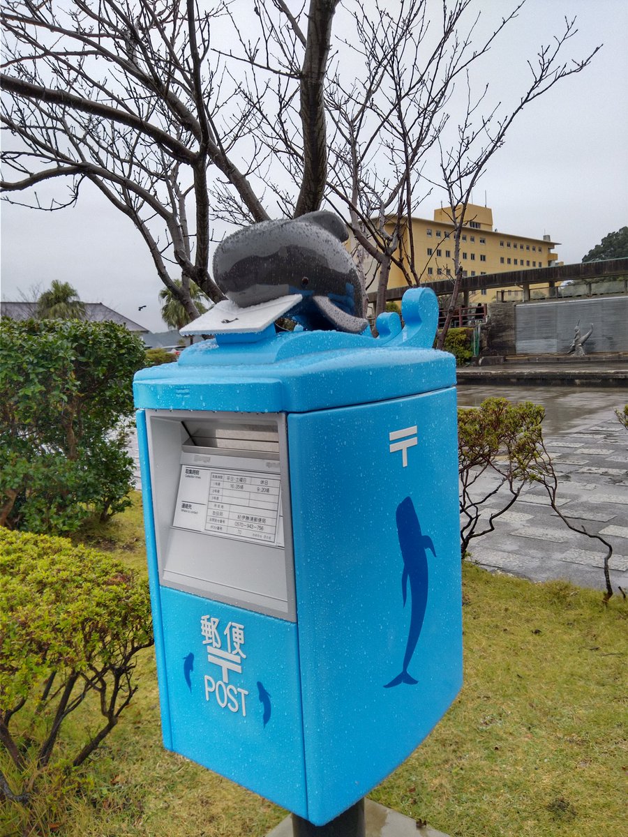 匙月 しげつ 更に太地町まで南下して太地町立くじらの博物館へ 施設前の郵便ポストが凄い可愛い ニュースにもなった腹ビレがあったイルカの骨格標本 後 餌やり体験 アルビノのハナゴンドウクジラ これが又可愛いんだわ