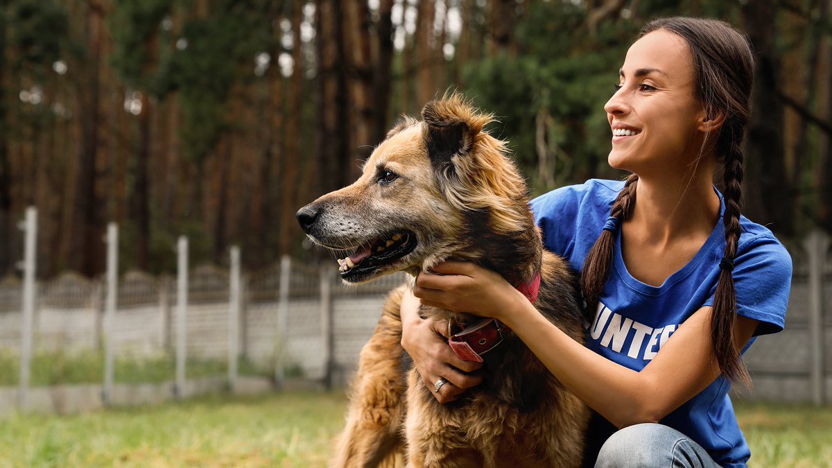 getxent's tweet photo. Scientific studies are working on the training of COVID-19 #snifferdogs. 

Dogs can detect #covid19 better than any other test. COVID-19 detection dogs are trained by #veterinarians &amp; #scientists who are committed for a safer world. 

The world needs these women and men. https://t.co/dUO53rBWon