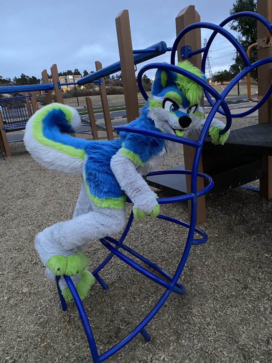 💚💙RAD Husky 💙💚🔜 DenFur / FC (@radhuskyski) on Twitter photo My poor curl wouldn’t make it through the bars. Who wants to help a husky out 💚?!
#DailyDHC
👔<a href="/DontHugCacti/">🌵Don't Hug Cacti LLC🌵</a> 🌵🐾
📷<a href="/TigerSquat/">Kip @ Furrydelphia</a> My poor curl wouldn’t make it through the bars. Who wants to help a husky out 💚?!
#DailyDHC
👔<a href="/DontHugCacti/">🌵Don't Hug Cacti LLC🌵</a> 🌵🐾
📷<a href="/TigerSquat/">Kip @ Furrydelphia</a>