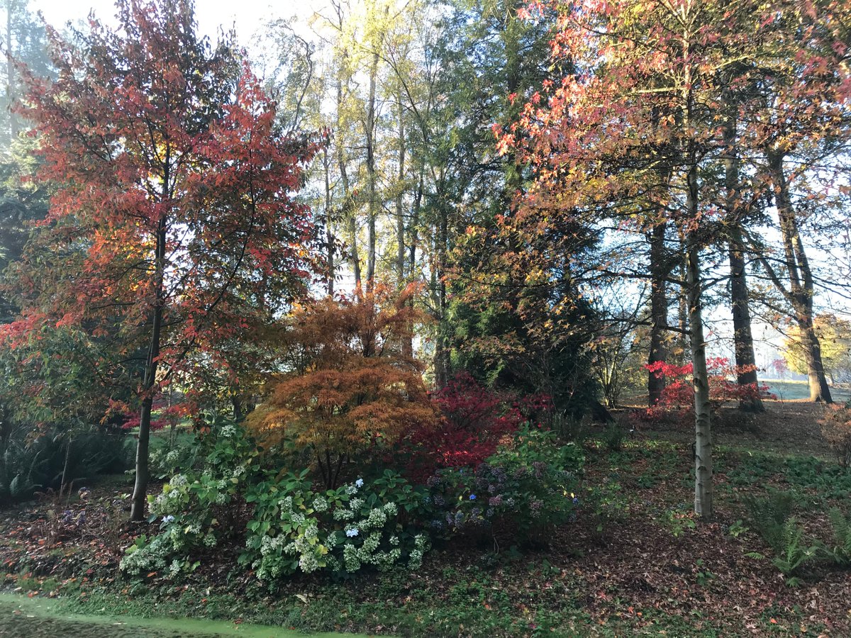 placeforplants's tweet photo. Some more of Sara's lovely pictures of the garden. https://t.co/2qRQCi8AOG