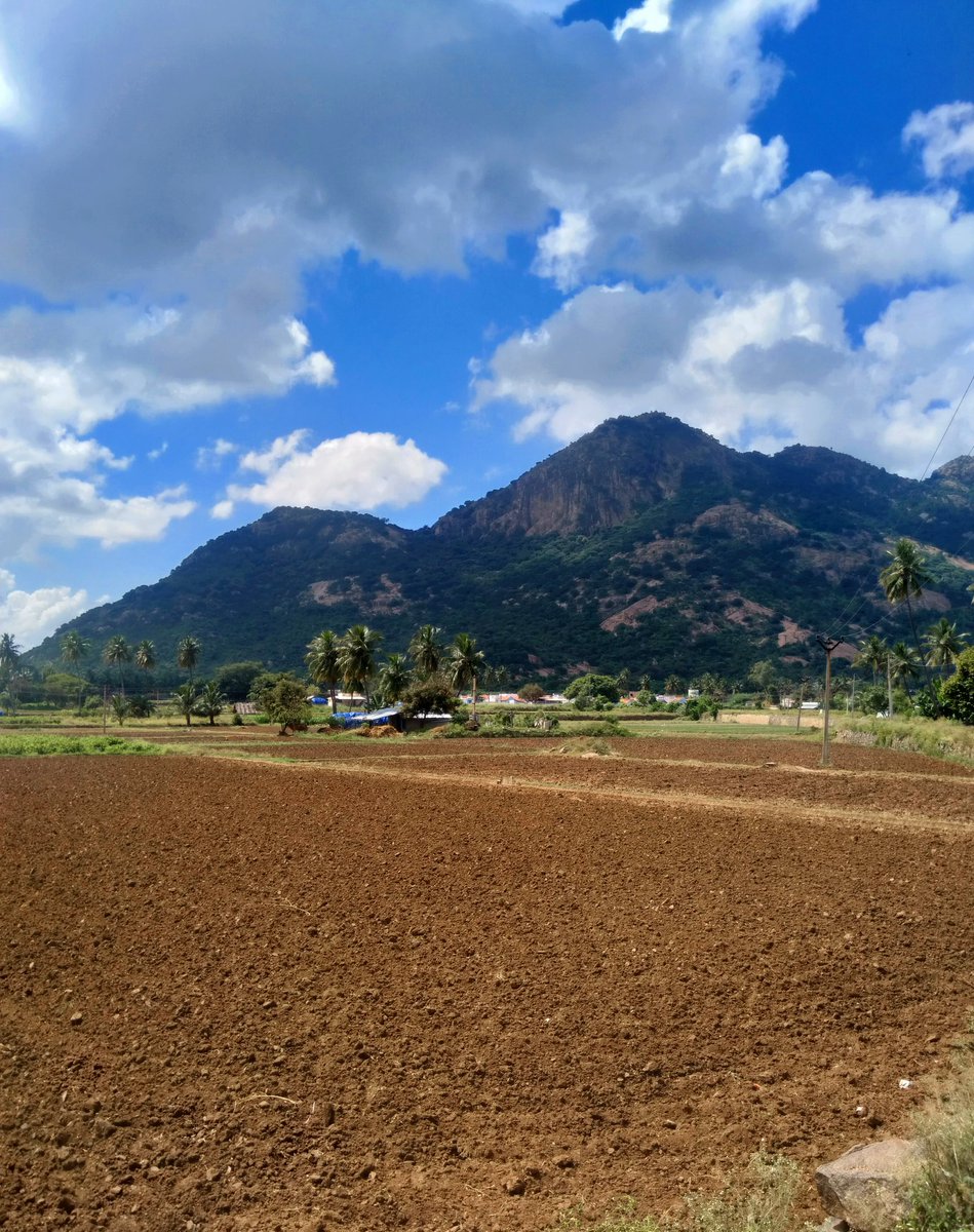 This place was basically an example of Tamil geographic classification.The top the hill, Kurinji.The bottom of the hill, Mullai.The habitat & fields, Marudham.No wonder Tamil Jain monks chose this place to chill  #cycling  #தீந்தமிழ்  #தமிழி  #Tamilbrahmi  #Jains  #சமணர்/6